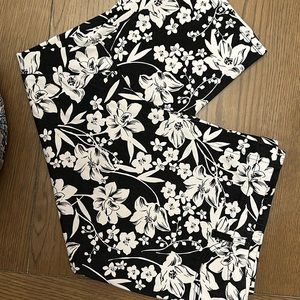 Terra  & Sky stretch Capri  Sz 3X